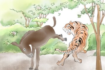 L’Asino E La Tigre