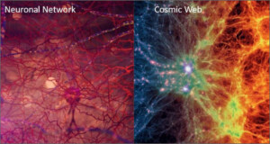 Coincidenze Cosmiche: dal Cervello all'Universo