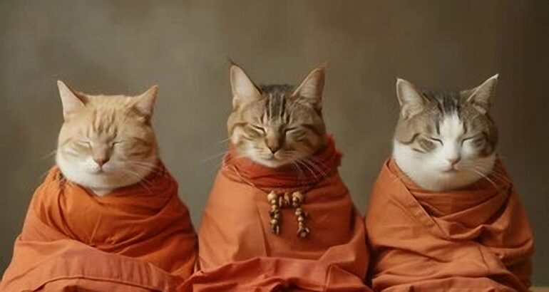 La Leggenda Buddista sui Gatti
