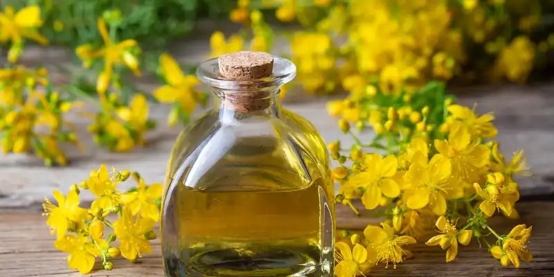 Alchimia Verde – Come preparare i Rimedi Spagirici Alchimia Verde – Come preparare i Rimedi Spagirici